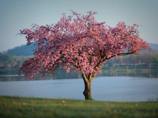 فال روز چهارشنبه ۱۹ مارچ - ۲۹ اسفند