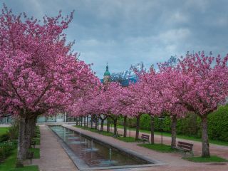 فال روز جمعه ۲۵ اپریل - ۵ اردیبهشت