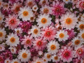 فال روز دوشنبه ۲۸ اپریل - ۸ اردیبهشت