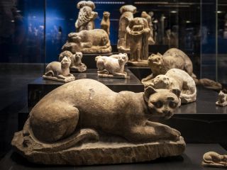 باستان‌شناسان راز نگهداری گربه به‌عنوان حیوان خانگی را کشف کردند