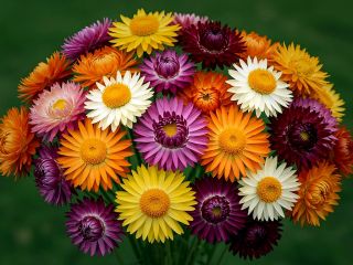 فال روز چهارشنبه ۳۰ اپریل - ۱۰ اردیبهشت