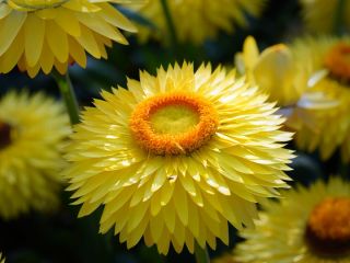 فال روز پنجشنبه ۱ می - ۱۱ اردیبهشت