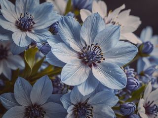 فال روز جمعه ۲ می - ۱۲ اردیبهشت