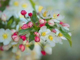 فال روز شنبه ۳ می - ۱۳ اردیبهشت