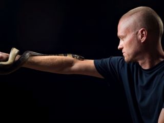 پژوهش روی خون مردی که صدها مار او را گزیده‌اند و زنده مانده است