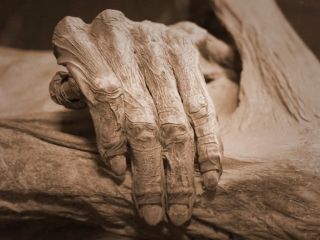 کشف معمای «مومیایی خشک‌شده به روش طبیعی»؛ کشیش اتریشی از راه مقعد مومیایی شده بود