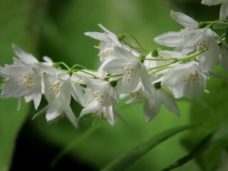 فال روز دوشنبه ۵ می - ۱۵ اردیبهشت