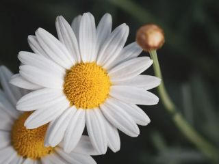 فال روز چهارشنبه ۷ می - ۱۷ اردیبهشت