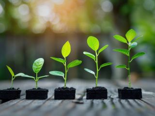 فال روز پنجشنبه ۸ می - ۱۸ اردیبهشت