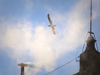 بلند شدن دود سفید از واتیکان؛ پاپ جدید انتخاب شده است