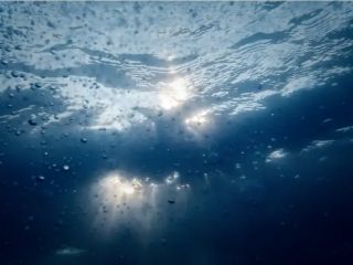 کمتر از یک‌هزارم درصد اعماق اقیانوس‌ها تاکنون مشاهده شده است