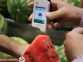 ماجرای نیترات در هندوانه‌های صادراتی ایران چه بود؟