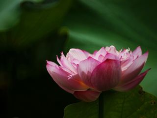 فال روز یکشنبه ۱۱ می - ۲۱ اردیبهشت