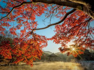 فال روز دوشنبه ۱۲ می - ۲۲ اردیبهشت