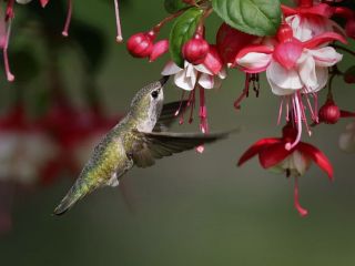 فال روز سه‌شنبه ۱۳ می - ۲۳ اردیبهشت
