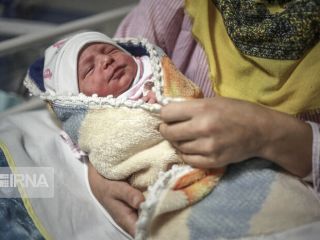 معاون بهداشت وزارت بهداشت: در سال گذشته ۱۰ درصد موالید کشور مربوط به «اتباع» است