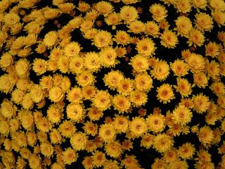 فال روز چهارشنبه ۱۴ می - ۲۴ اریبهشت