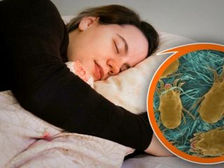 (تصویری) عادت‌های روزمره‌ای که نمی‌دانستید دلیل ترش کردن معده هستند