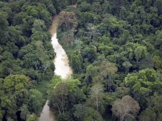 قصد فرانسه برای ساخت یک زندان فوق‌امنیتی در جنگل‌های آمازون برای اسلام‌گرایان تندرو و قاچاقچیان
