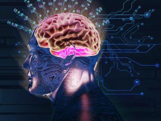 آگاهی دقیقا در کجای مغز شکل می‌گیرد؟