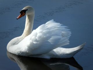 فال روز پنجشنبه ۲۲ می - ۱ خرداد