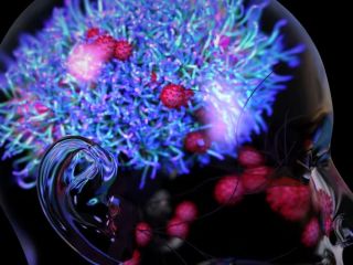 چگونه مغز در هنگام خواب خود را پاک‌سازی می‌کند