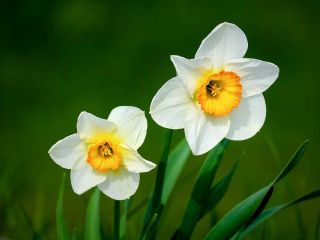 فال روز ۲۴ می - ۳ خرداد