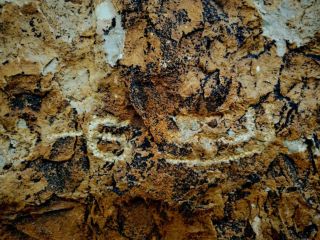 کتیبه نویافته ساسانی در نقش رستم راز استودان‌های سنگی را برملا کرد