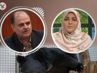 درگیری لفظی مجری صدا و سیما با مدیرکل دفتر حفاظت و مدیریت حیات‌وحش درباره توله خرس گمشده