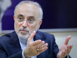 صالحی: چینی‌ها در عوض دریافت لایسنس از آمریکا، قرارداد ایران را رها کردند و رفتند!