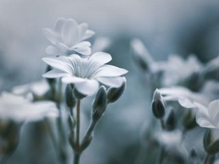 فال روز یکشنبه ۸ جون - ۱۸ خرداد