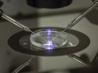 رسوایی اهدای اسپرم‌های حامل جهش ژنتیکی در اروپا؛ سیاست‌های نظارتی زیر تیغ انتقاد قرار گرفتند