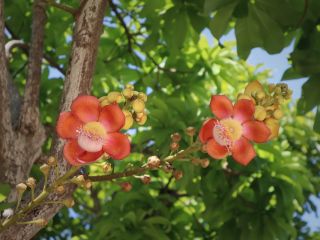 فال روز پنجشنبه ۱۲ جون - ۲۲ خرداد