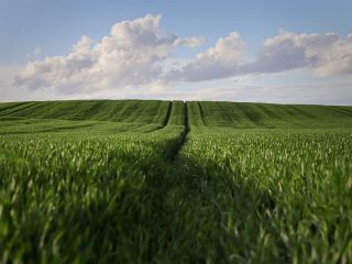 فال روز چهارشنبه ۲۵ جون - ۴ تیر