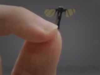 چین از پهپاد جاسوسی مینیاتوری با ظاهر پشه رونمایی کرد؛ آیا ریزپرنده‌های دیگری هم وجود دارند؟