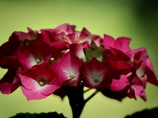 فال روز یکشنبه ۲۹ جون - ۸ تیر