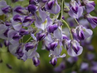 فال روز دوشنبه ۳۰ جون - ۹ تیر