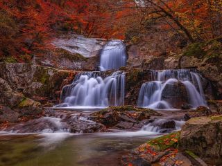 فال روز سه‌شنبه ۱ جولای - ۱۰ تیر