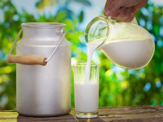 شیر بیشتر از آب کم‌آبی بدن را جبران می‌کند؛ آیا آبجو و قهوه هم آبرسان‌اند؟