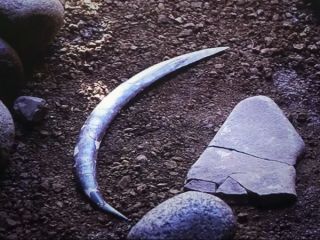 قدیمی‌ترین بومرنگ جهان ۴۰ هزار سال قدمت دارد