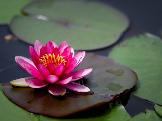 فال روز یکشنبه ۶ جولای - ۱۵ تیر