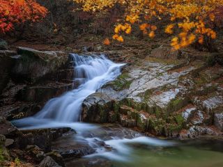 فال روز دوشنبه ۷ جولای - ۱۶ تیر