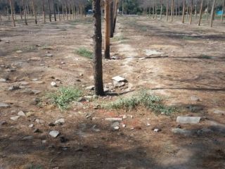 خبرگزاری سپاه خواستار تکرار اعدام‌‌های فله‌ای به شیوه دهه ۶۰ شد