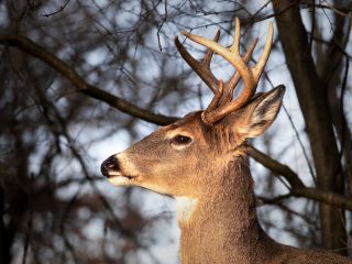 فال روز شنبه ۱۲ جولای - ۲۱ تیر