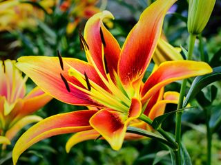 فال روز دوشنبه ۱۴ جولای - ۲۳ تیر