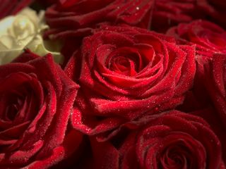 فال روز دوشنبه ۲۱ جولای - ۳۰ تیر