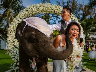 شکار خنده دارترین لحظات در جشن و شادی مراسم عروسی