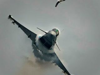 لحظه وحشتناک برخورد مرغ دریایی با جنگنده ۷۳ میلیون پوندی