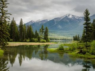 فال روز سه‌شنبه ۲۹ جولای - ۷ امرداد