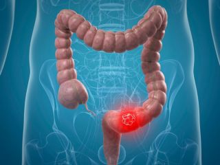 «حس ششم» روده بزرگ به کاهش وزن کمک می‌کند